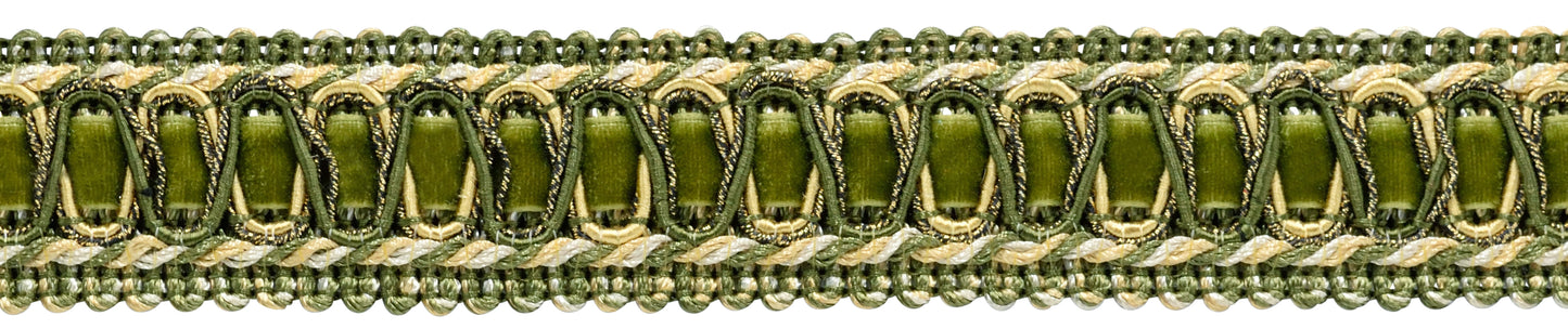 #Color_Olive Garden Green Multicolor (Color# 010)