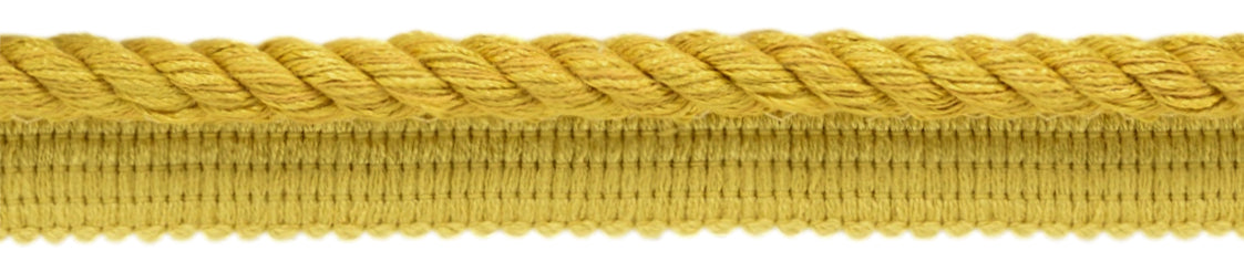 #Color_Brass Gold (Color# D05)