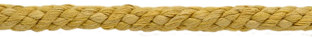 #Color_Mustard Gold (Color# VNT4)
