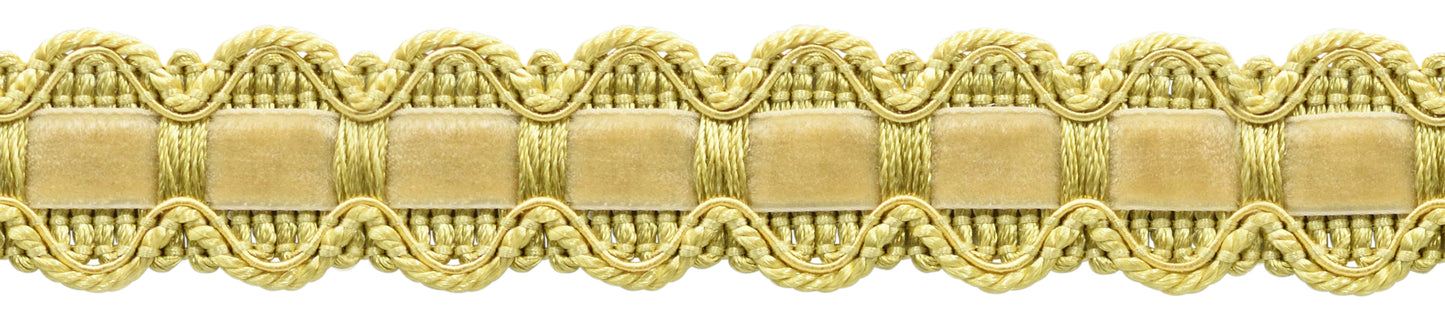 #Color_Light Yellow Gold (Color# 50)