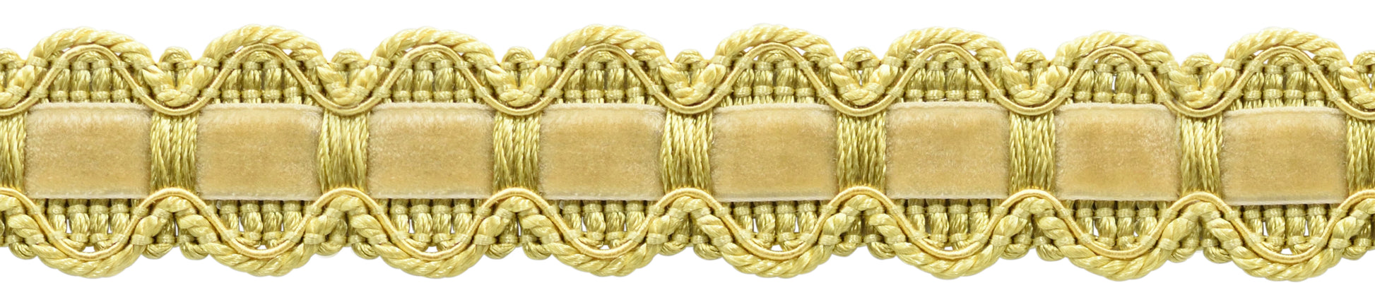 #Color_Light Yellow Gold (Color# 50)