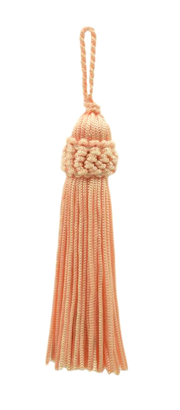 #Color_Light Salmon Orange (Color# E16)