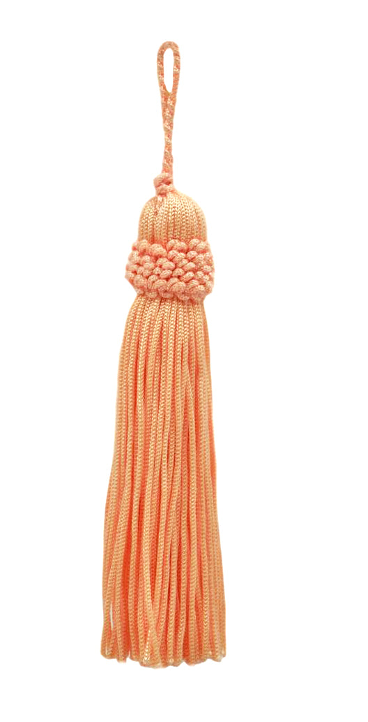 #Color_Light Salmon Orange (Color# E16)