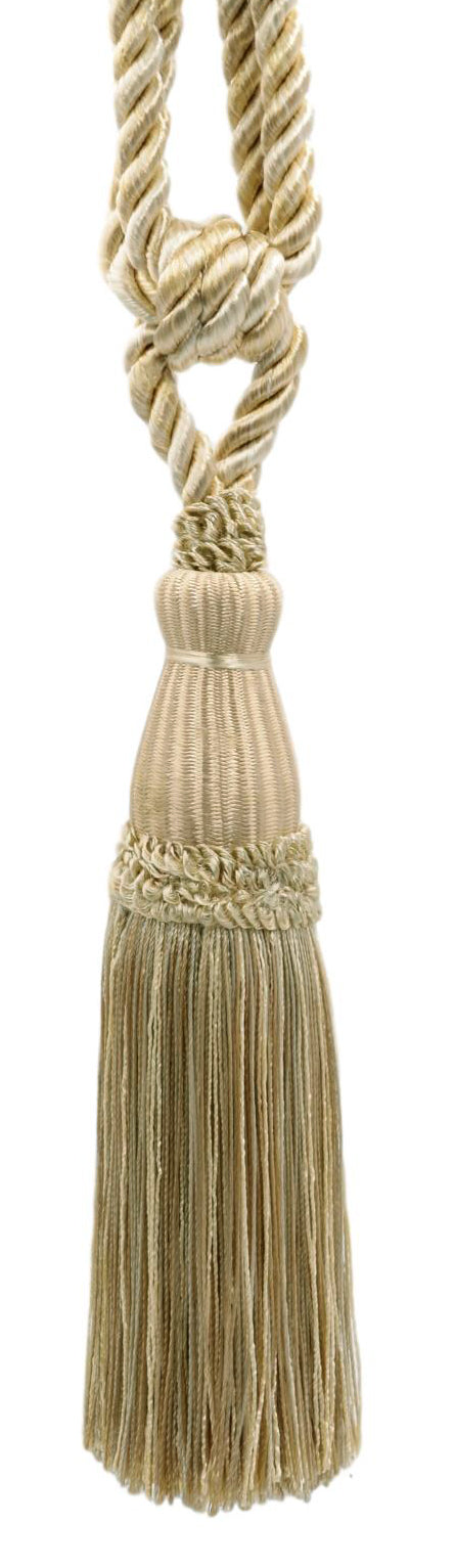 #Color_Shell Ivory Multicolor (Color# PR01)